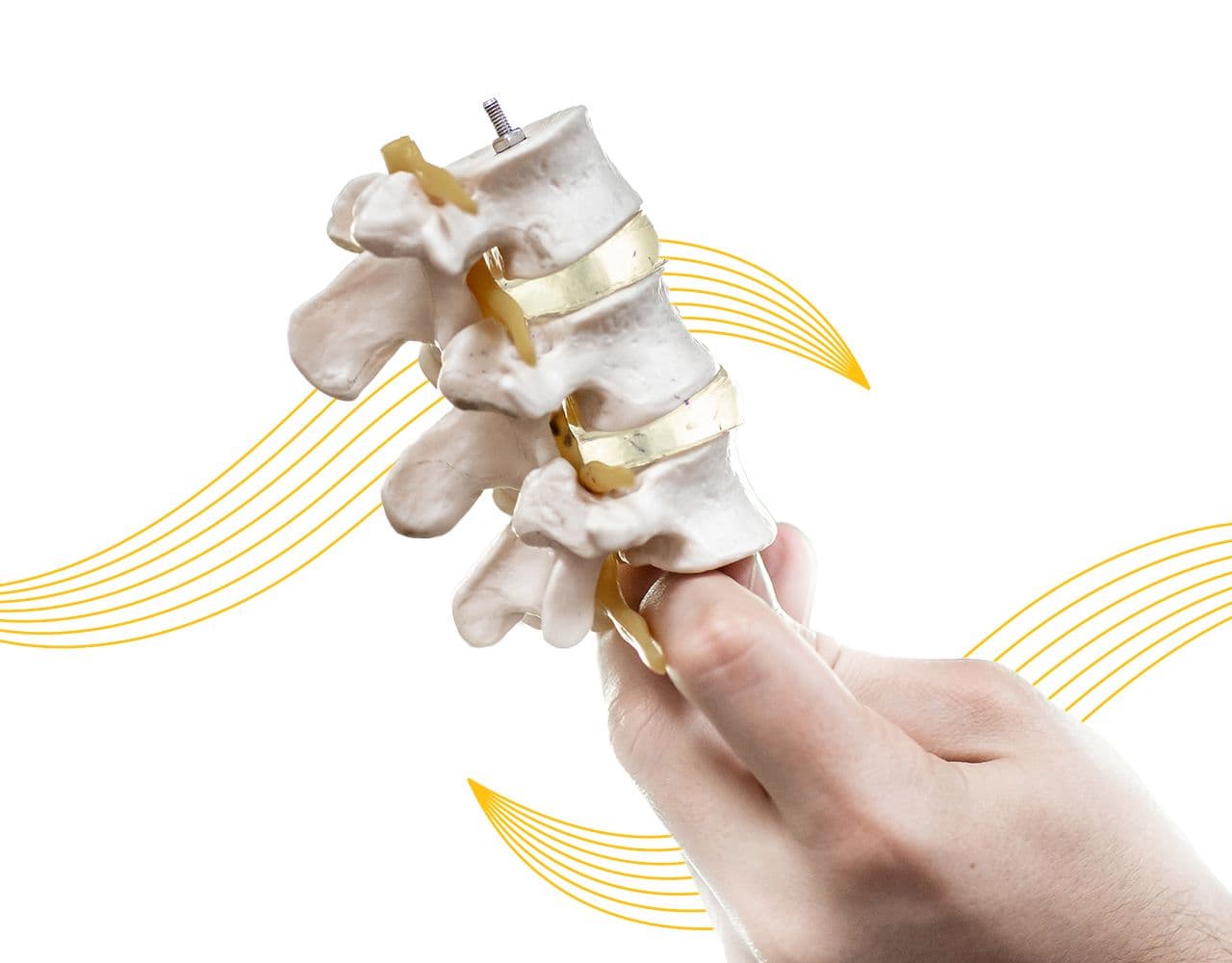 Musculoskeletal System