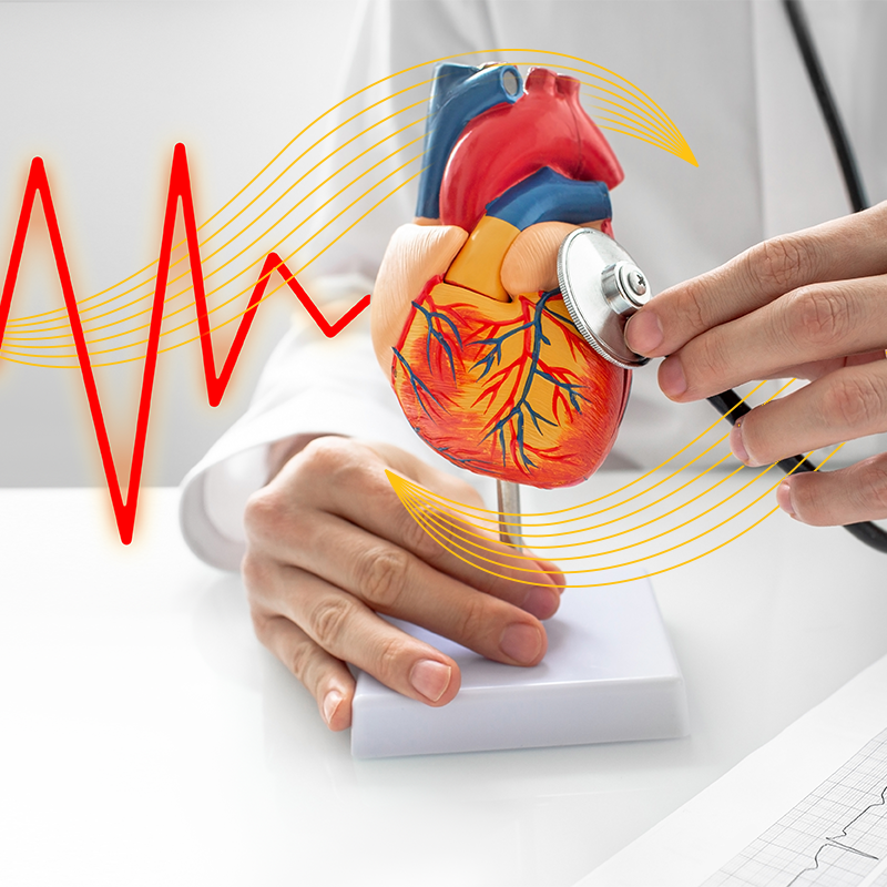 Impact of Metformin on Cardiovascular and Kidney Outcomes in Type 2 Diabetic Patients